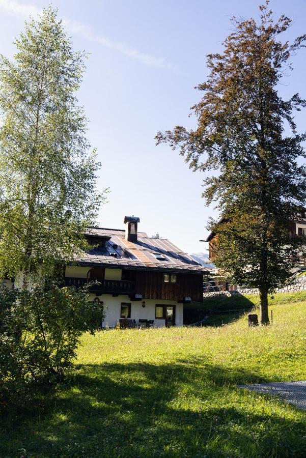 Casa Betulla Διαμέρισμα Κορτίνα Ντ' Αμπέτσο Εξωτερικό φωτογραφία
